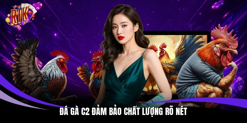 Đá gà C2 đảm bảo chất lượng rõ nét