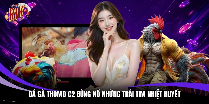 Đá gà Thomo C2 bùng nổ những trái tim nhiệt huyết