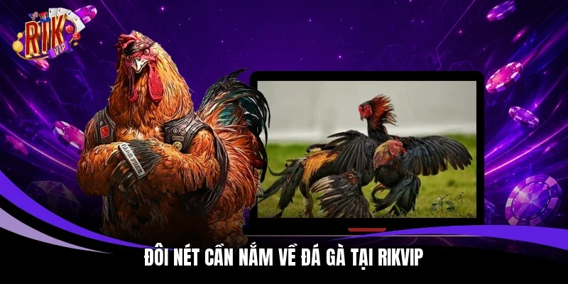 Đôi nét cần nắm về đá gà tại Rikvip 
