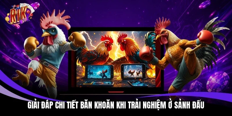 Giải đáp chi tiết băn khoăn khi trải nghiệm ở sảnh đấu