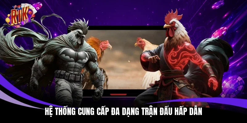 Hệ thống cung cấp đa dạng trận đấu hấp dẫn