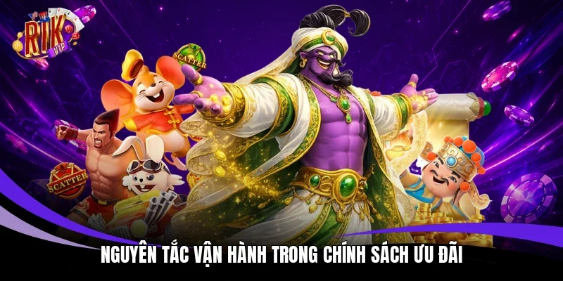 Nguyên tắc vận hành trong chính sách ưu đãi