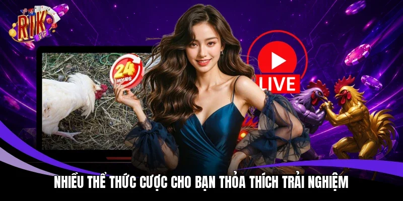 Nhiều thể thức cược cho bạn thỏa thích trải nghiệm 