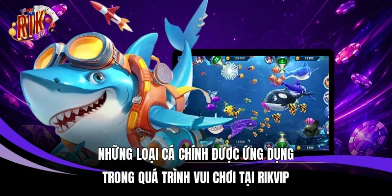 Những loại cá chính được ứng dụng trong quá trình vui chơi tại Rikvip